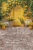 E120 200x300.png