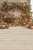 L31 200x300.png