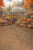 L35 200x300.png