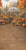 L35.png