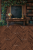 Sk31 200x300.png