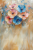 FA24 200x300.png