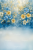 FA27 200x300.png