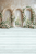 W101 200x300.png