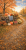 L60.png