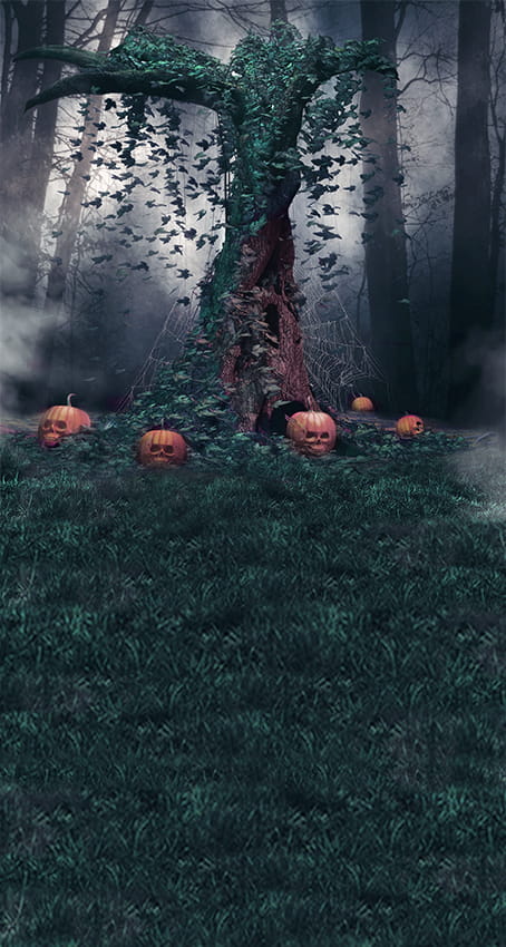 tlo-fotograficzne-halloween-wn3